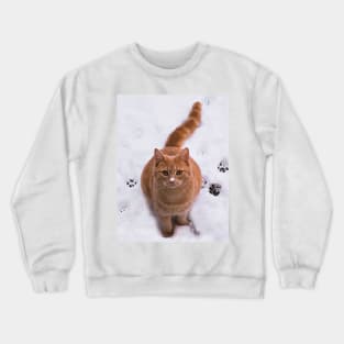 Ginger Kitten in Snow Crewneck Sweatshirt